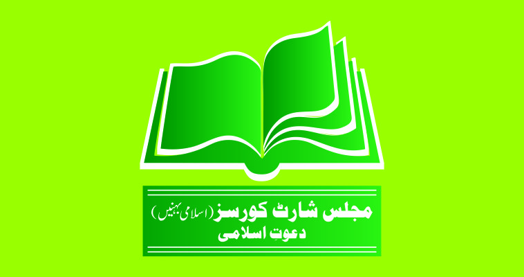 Owl Image